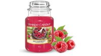 Yankee Candle Large Jar Candle - Red Raspberry: Fill Your Home with a Sweet and Fruity Fragrance (22 oz)