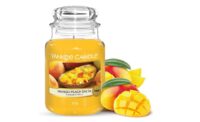 Yankee Candle Mango Peach Salsa Large Jar Candle (Up to 150 Hours Burn Time)